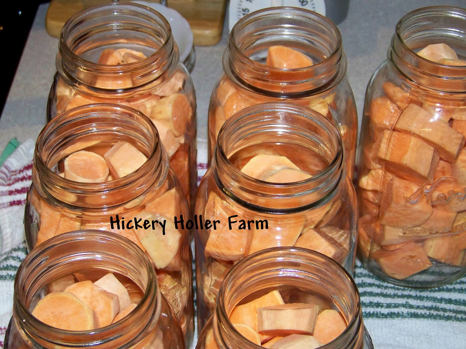 Hickery Holler Farm Canning Sweet Potatoes