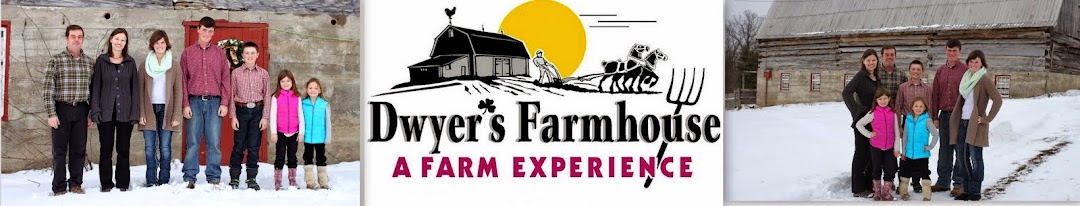 Dwyer's Farmhouse