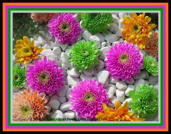 islamic pictures and wallpapers
