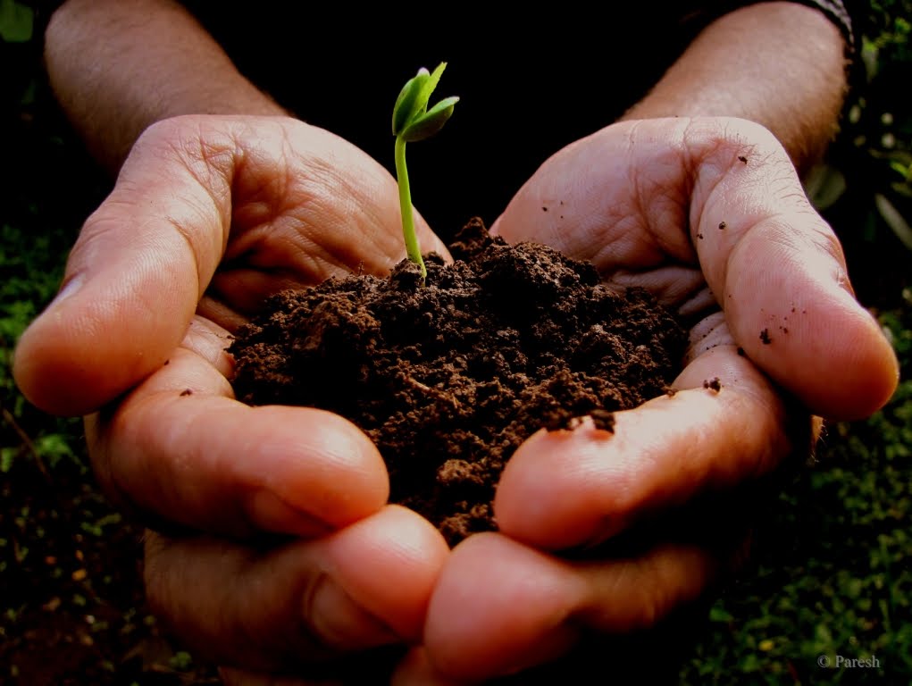 Gifting Trees... Gifting Trees... Turns ONE!