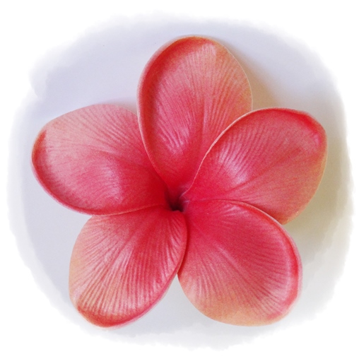 Artificial Wedding Flowers and Bouquets Australia Frangipani Special