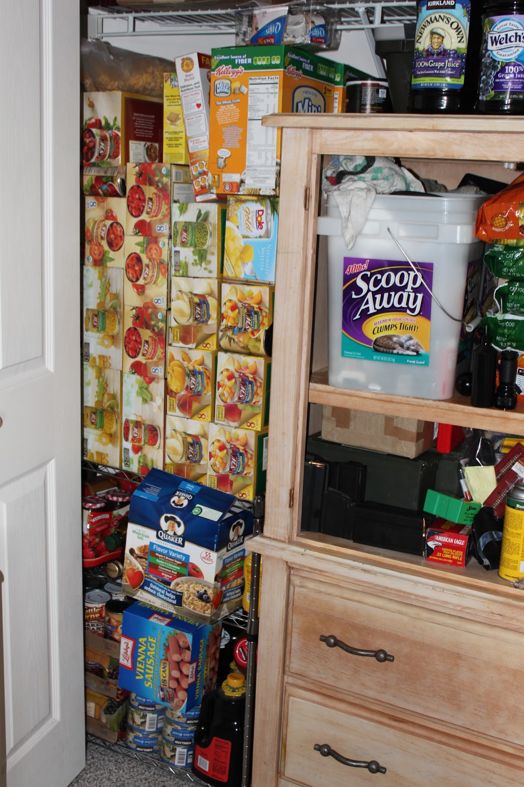 from Gardners 2 Bergers Condo + Food Stoarge = Creativity