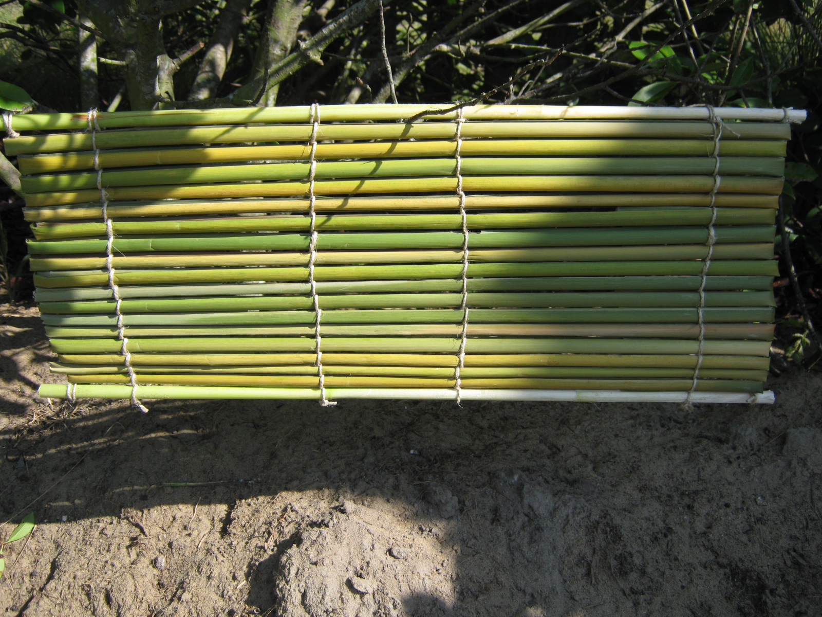 Urban Prepper Chick Learn as I Go Things you can make with Cattail