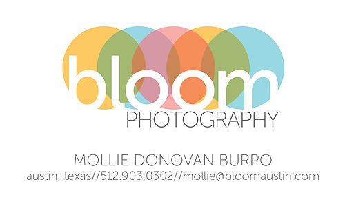 photography in bloom