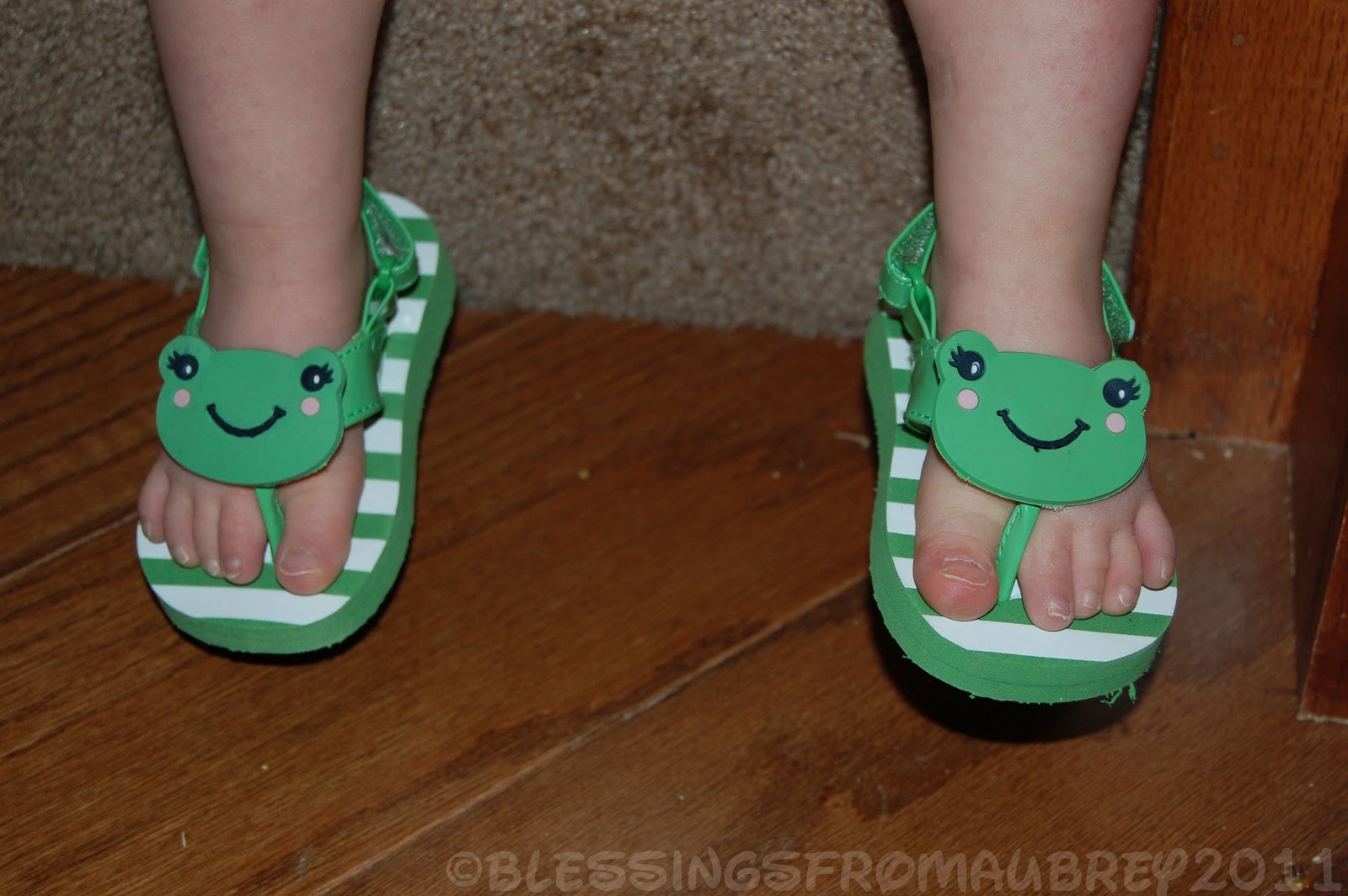 Frogs Shoes