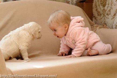  Funny baby and dog