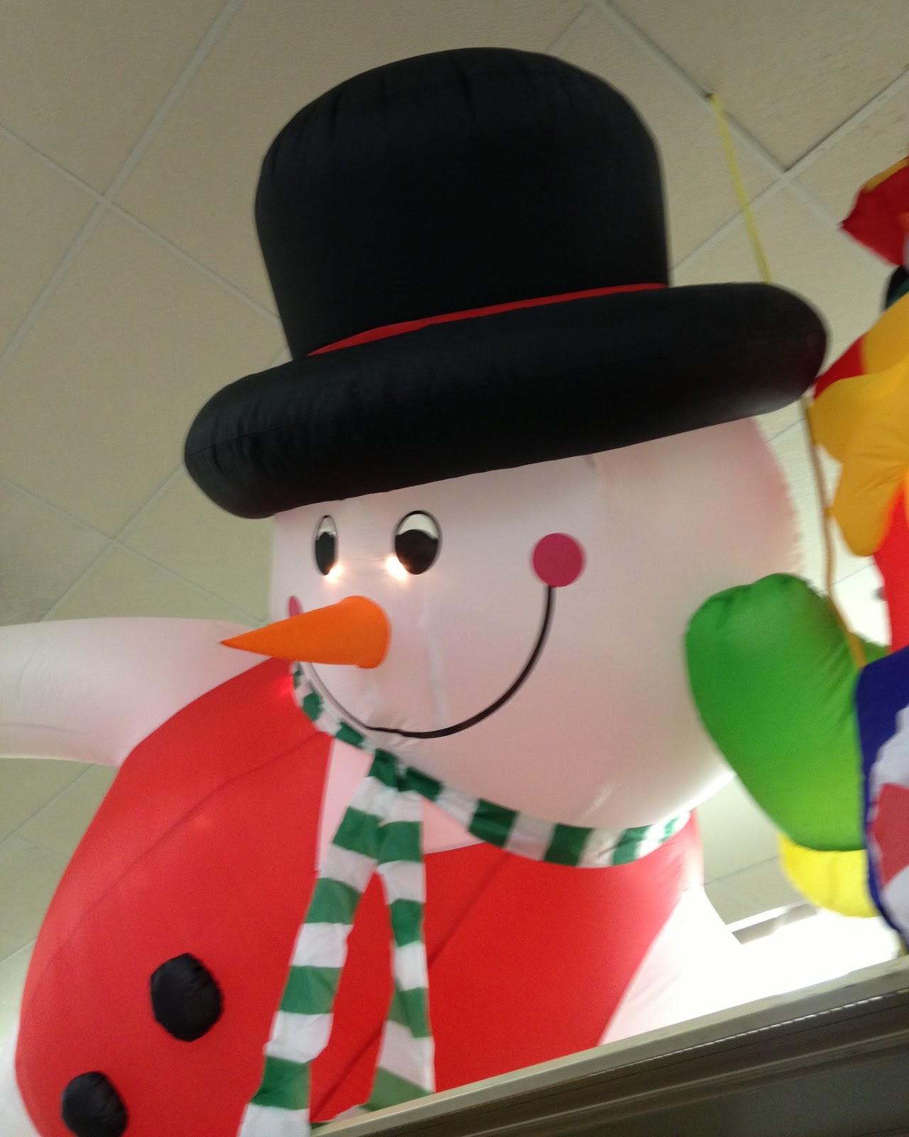 The Wandering Wahoo December 2012