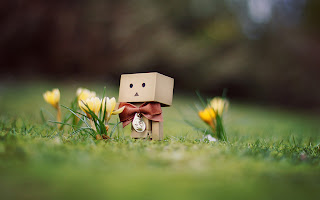 Danbo in Meadow HD Wallpaper