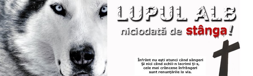 Lupul Alb (niciodata de stanga !)