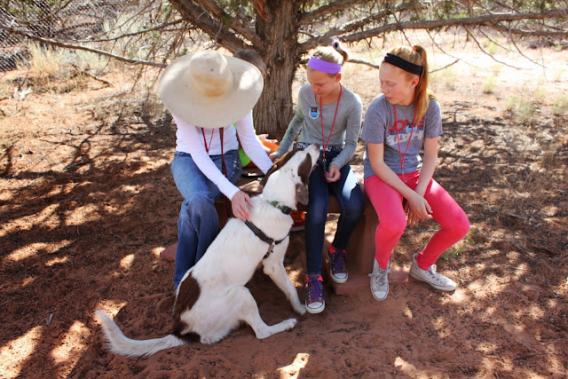 Best Friends Animal Society Sanctuary Kanab Utah