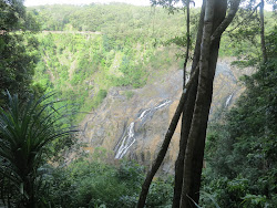 Barron Falls in the Rainforest