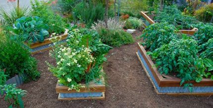 Front Yard Landscaping Tips For Year Round Beauty ~ Landscape Design