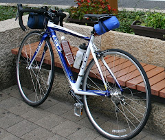 歴代使用自転車　　　　　　　　　　　　２０１０年式ＧＴ社ＧＴＲ４