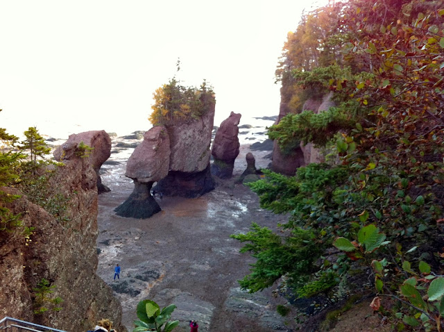 Fundy National Park - A Pinay's Diary