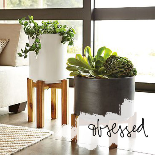 LUXE AND LACE West Elm // Ceramic Planters