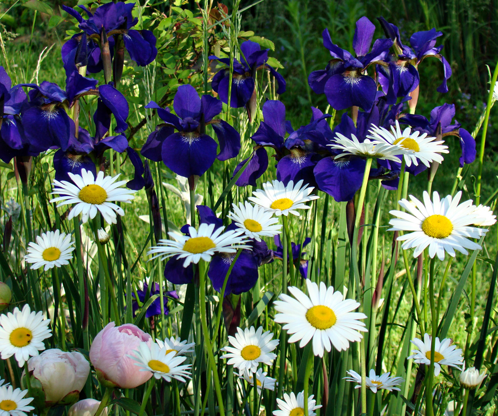 Rurification May 2012