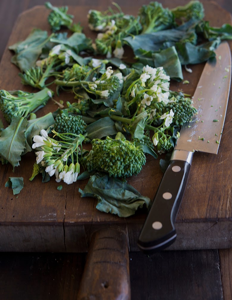 Fat Rice Noodles with Chinese Broccoli & Black Garlic in a Red Chile
