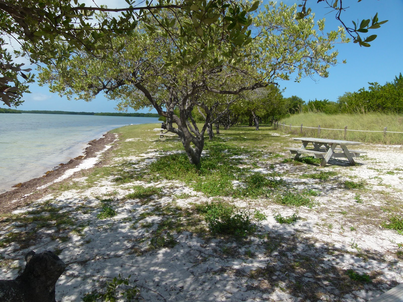 Key West vacation and visit guide Curry Hammock State Park
