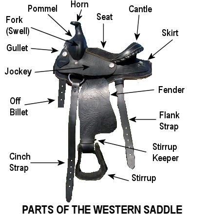 Delighted Horses: Horse Tack