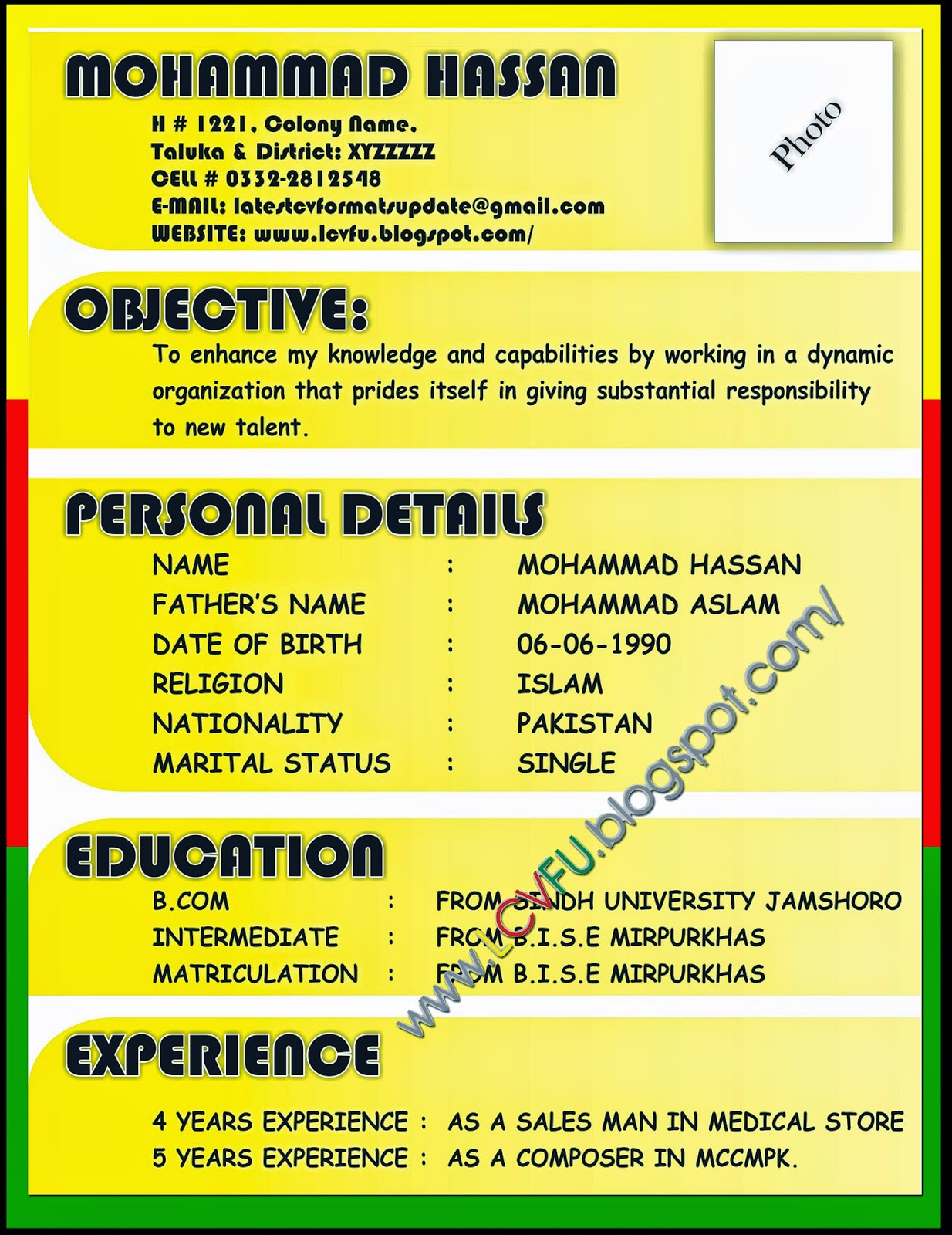 cv format latest format plks tk مدل cv جدید