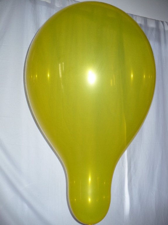 latex occidental gay handicap permit