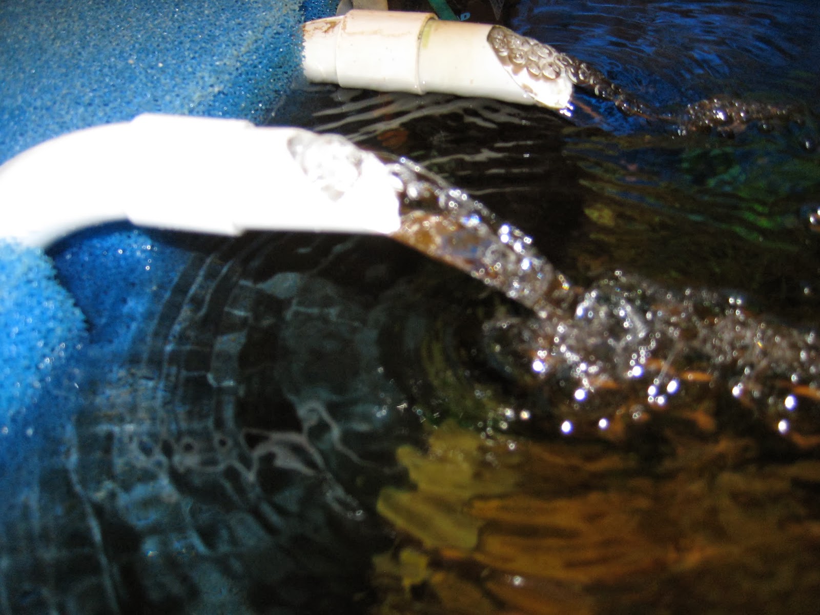 Aquarienverein Ludwigshafen e.V. Luftheber selber bauen