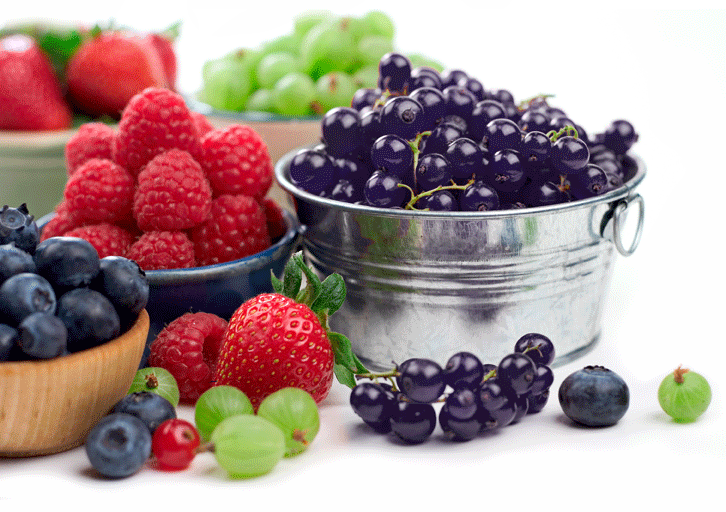 Blackberries, Strawberries, & Plum (Rich Source of Antioxidants)