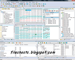 Fileshosts - Free Download Files: Download Hex Editor Neo Full Version