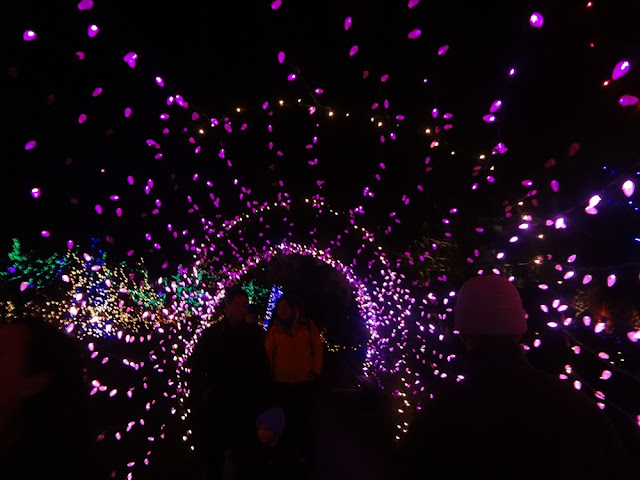 vandusen botanical garden festival of lights