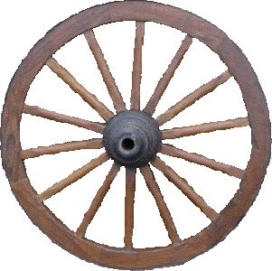 Forum Artikel: Roda