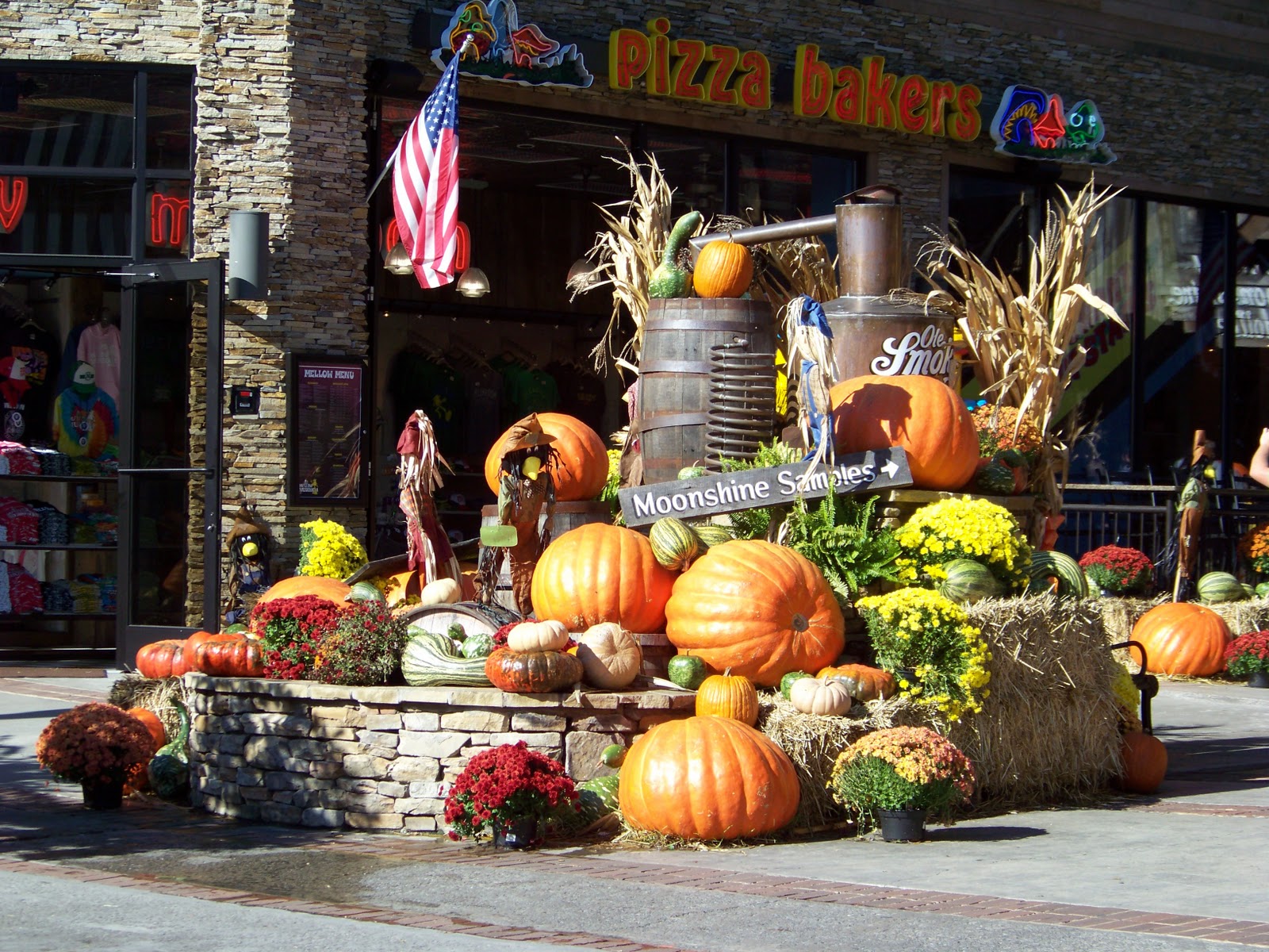 WanderingWondering Halloween Decorations in Southeast USA