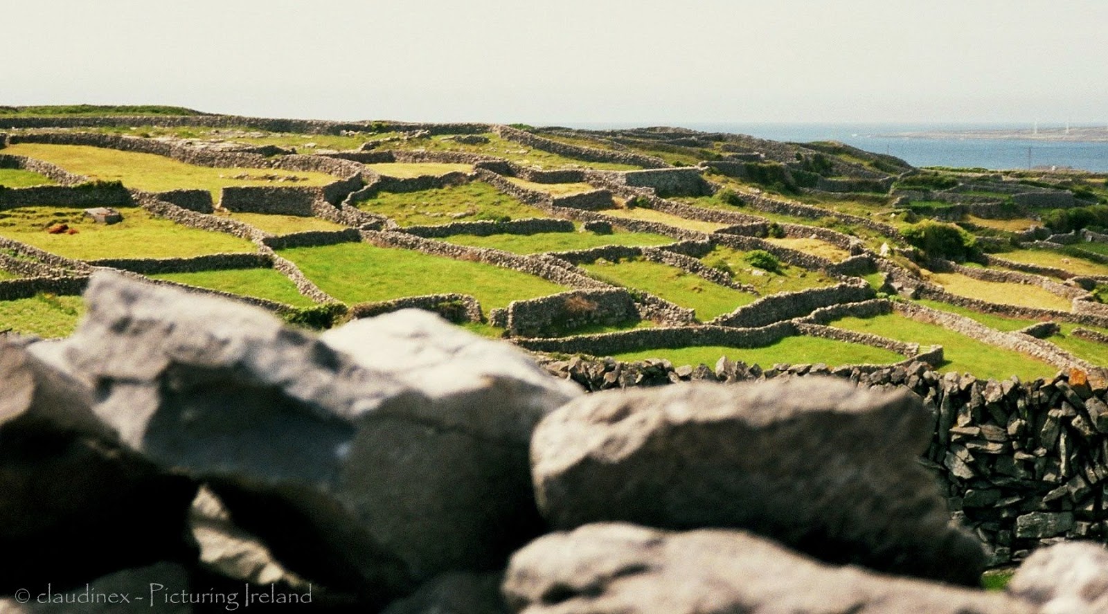 Picturing Ireland The stone walls of Ireland