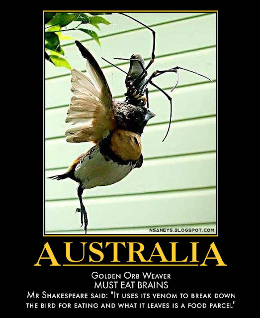 Nsaneyu0026#39;z Posters II: Australia: Giant Spider Eating a Bird ...