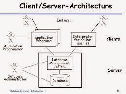 what is dbms