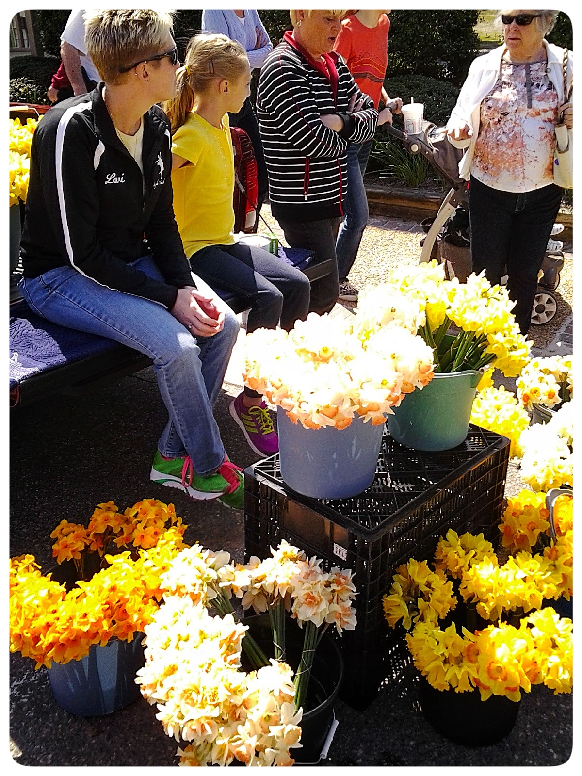 foobella designs 28th Annual Gloucester Daffodil Festival 2014