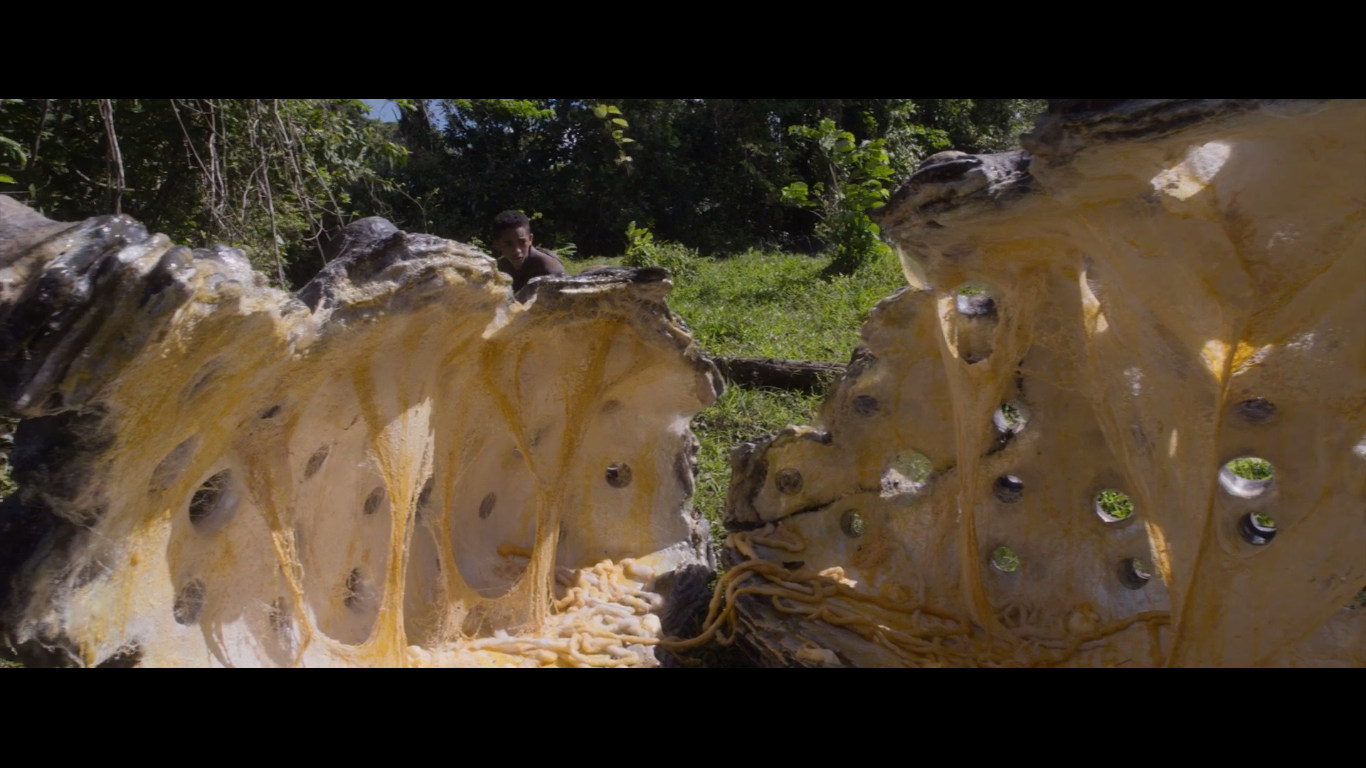 После нашей эры / After Earth 2013 BDRip