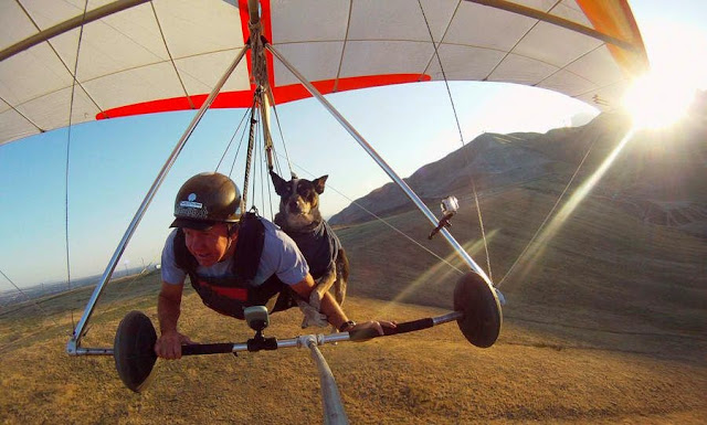 El perro volador que curó a su dueño la ansiedad