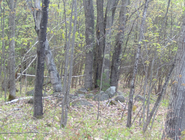 A resting spot in the woods.