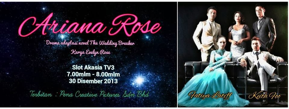 The Wedding Breaker Novel