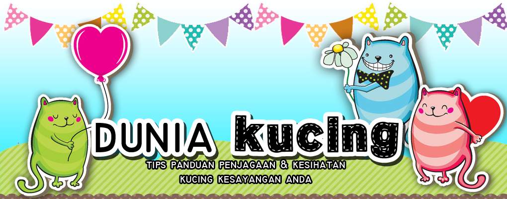 Tips panduan penjagaan & kesihatan kucing kesayangan anda