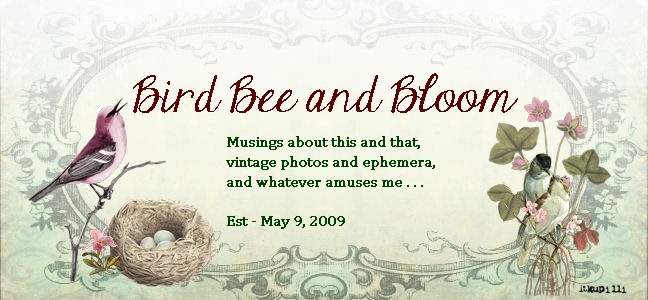 Bird Bee and Bloom