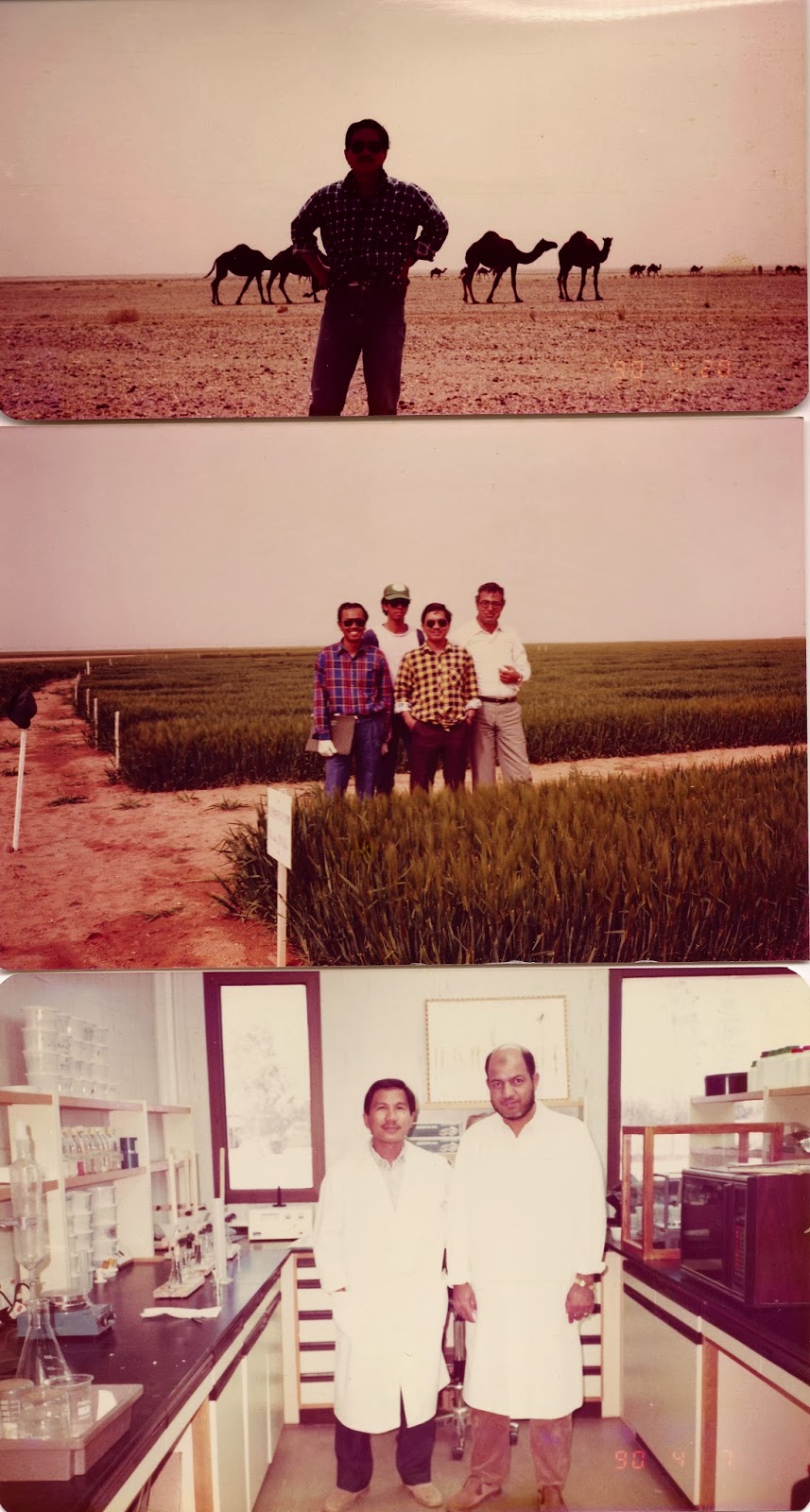 http://1.bp.blogspot.com/-43gL_rbsTQc/UwjvfgJtlCI/AAAAAAAAA3U/s1fpxr5Cwko/s1600/Dad+Saudi.jpg