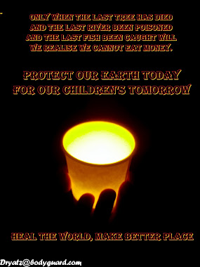 earth hour