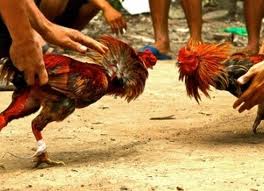 Test Gede Toya Lontar Pengayam Ayaman Saking Kubutambahan