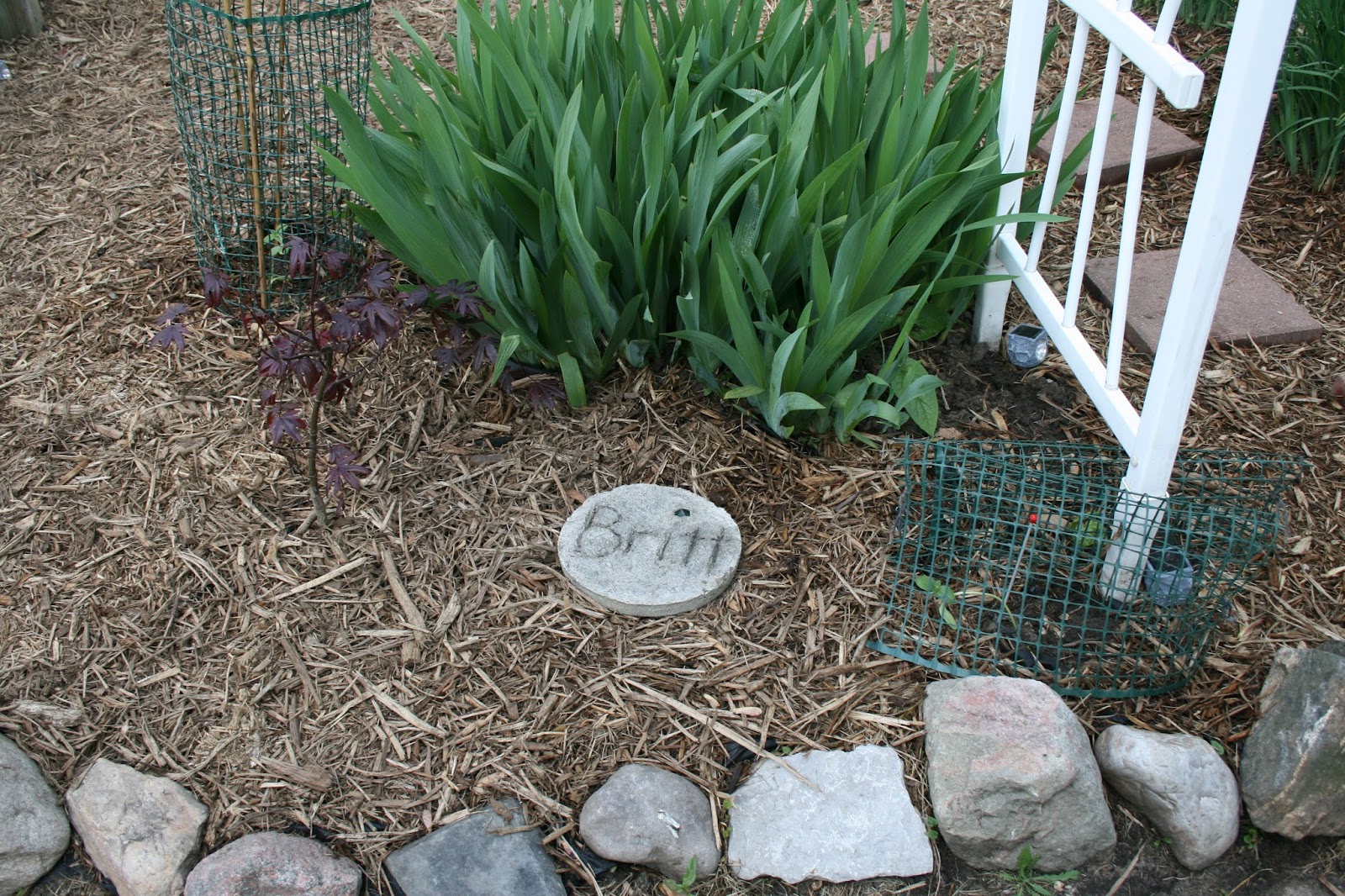 Ashley DIY: DIY Concrete Bird Bath for Under Ten Bucks