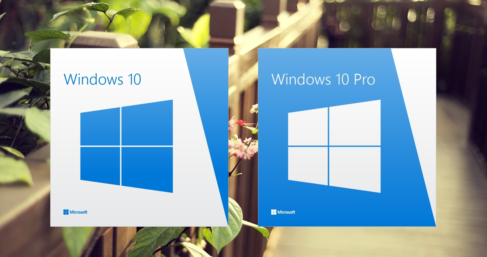 Windows Customs Windows 10 All In One Multiple Editions ISO x86 & x64