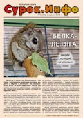 Сурок.Инфо