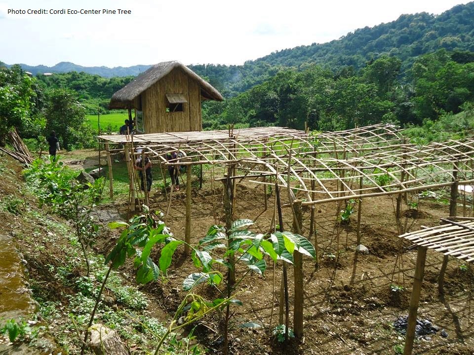 Aral Pinoy Feed 3 000 Poor Filipino Kids With Fresh Vegetables - Pinoy Vegetable Garden Photos Aral Pinoy Feed 3 000 Poor Filipino Kids With Fresh Vegetables - Pinoy Vegetable Garden Photos