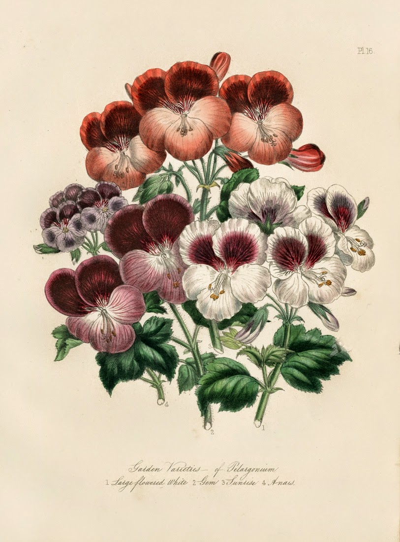 Infotainment @ www.keralites.net Fun & Info @ Keralites.net