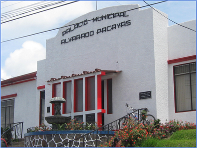 Municipalidad de Alvarado